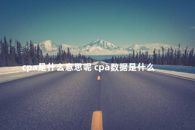 cpa是什么意思呢 cpa数据是什么意思啊